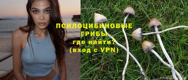 мдпв Покачи