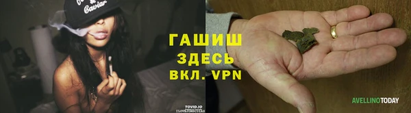 гидра Покров