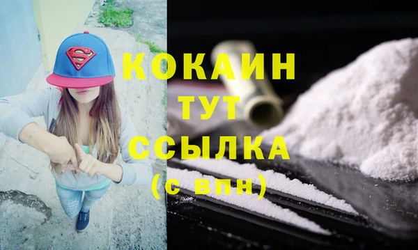 спайс Пересвет