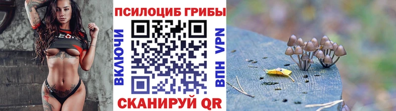 блэк спрут   Серафимович  Псилоцибиновые грибы прущие грибы 